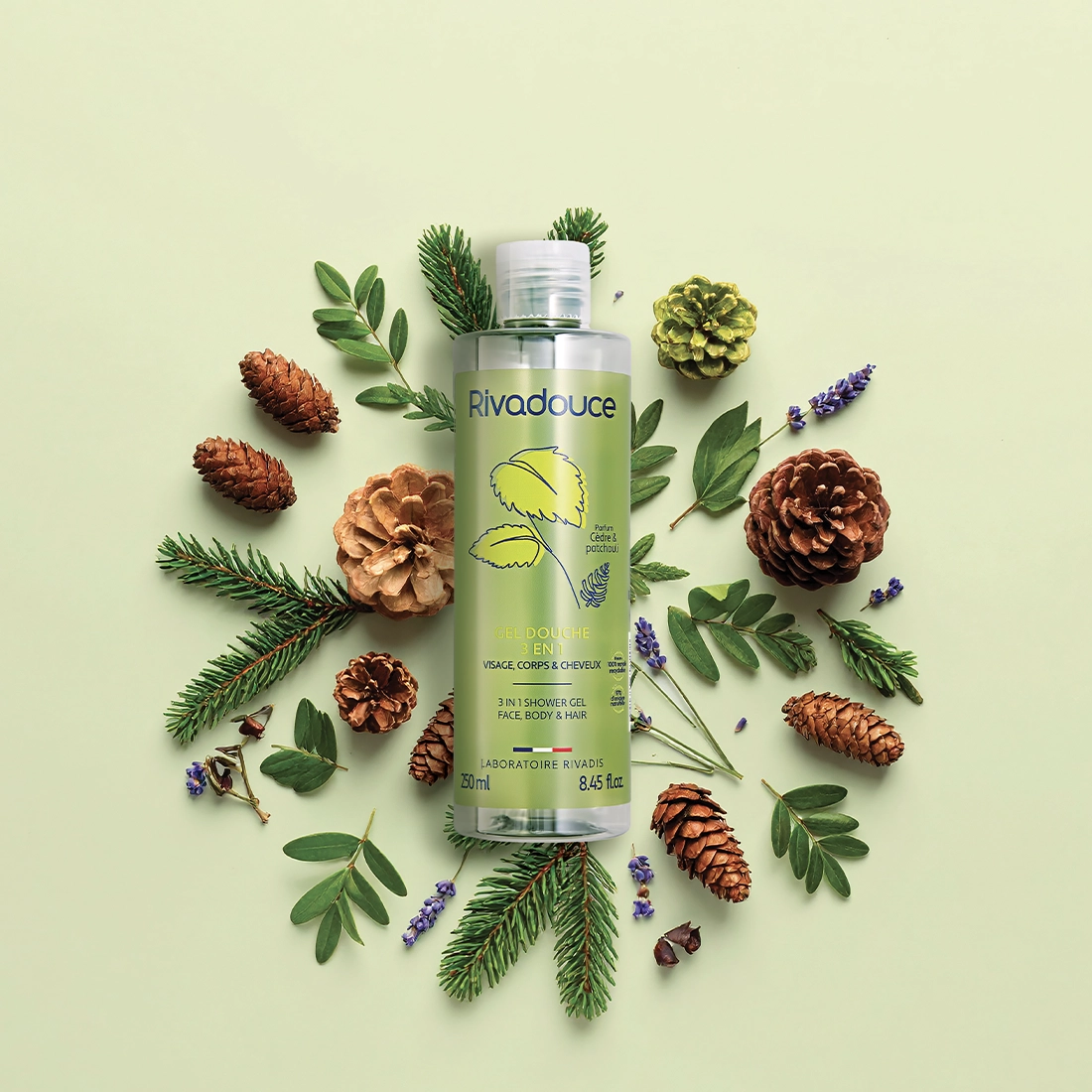 Shampoing douche Cèdre & Patchouli 3en1 - 250ml image number null